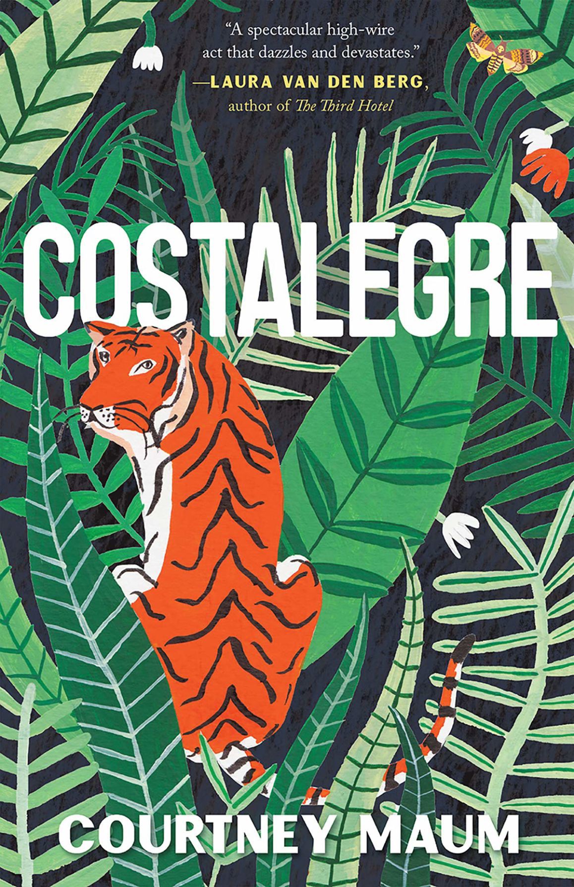 "Costalegre" by Courtney Maum